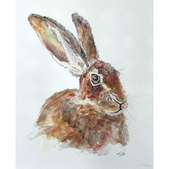 Hare (Watercolour)