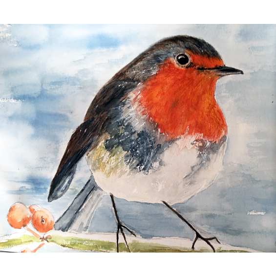 Robin (Watercolour)
